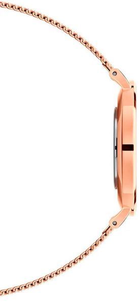 Годинник Daniel Wellington Petite MELROSE DW00100303 375351 фото