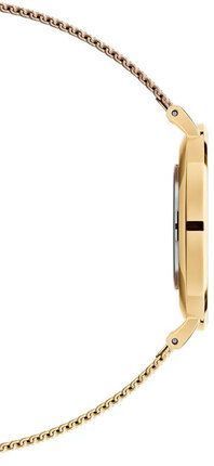 Часы Daniel Wellington Petite Evergold DW00100345 375367 фото