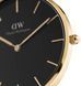 Часы Daniel Wellington Petite Evergold DW00100345 375367 фото 2
