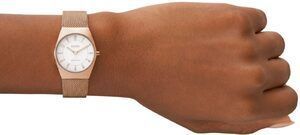 Часы Skagen SKW3078 910055 фото
